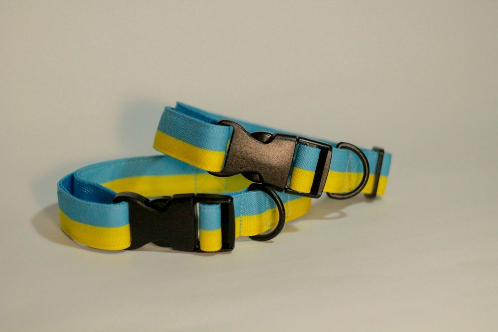 Принтовий ошийник для собак