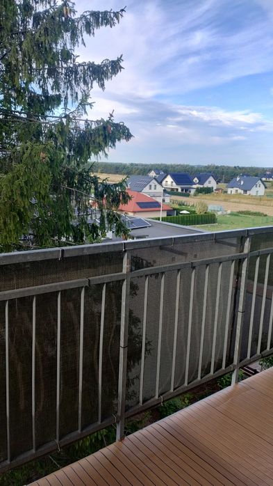 Zdjęcie 8