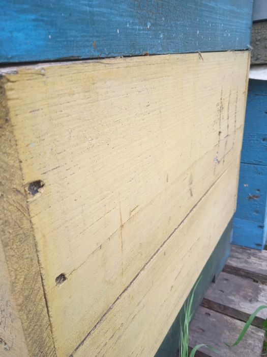 Вулики. Ульи Дадан 10-тирамочнфе с полным комплектом суши и магазинами