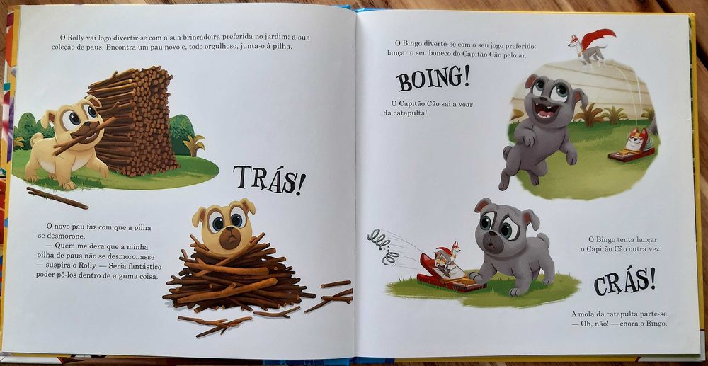 Livro - Feliz Aniversário Bingo e Rolly!