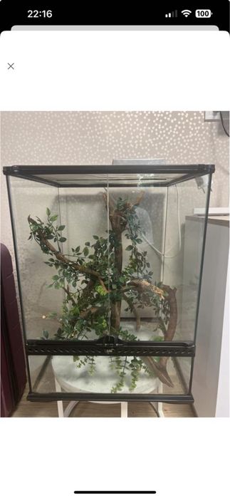 Террариум  в отличном состоянии