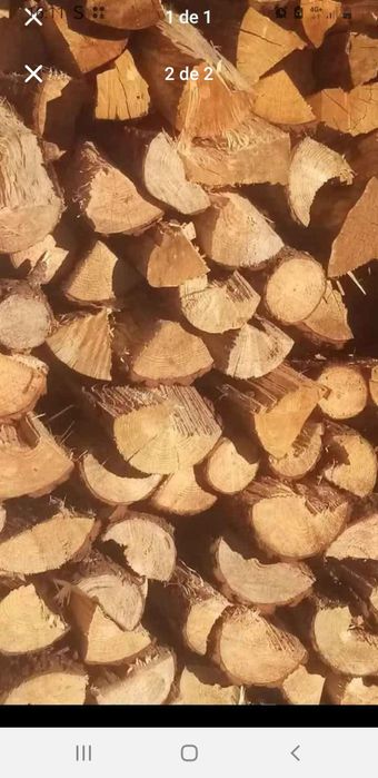 Vendo lenha seca de pinho 40€metro .e mistura 50€ metro...mais informa