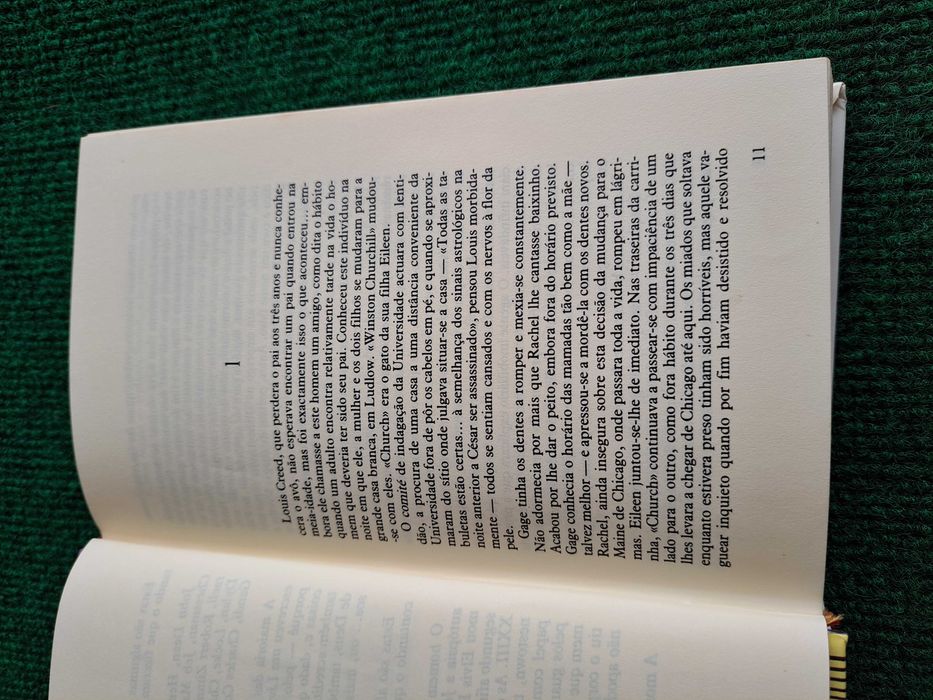 Samitério das Mascotes - Stephen King