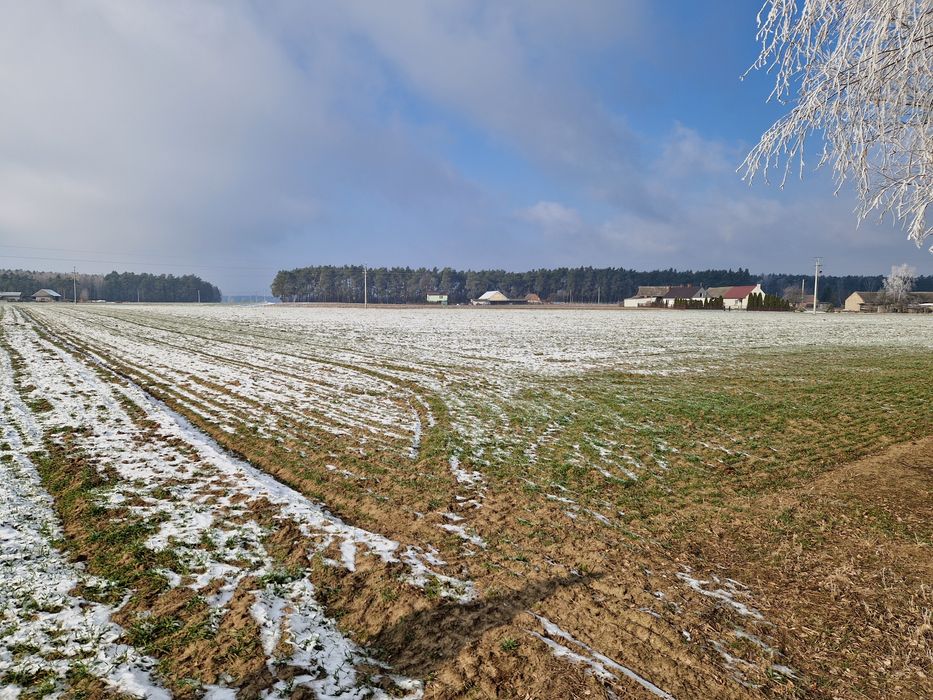 2 hektary - Działka rolna, ziemia rolna, teren inwestycyjny Chynowa
