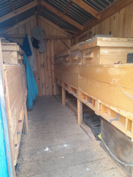 Продається  павільйон для бджіл.