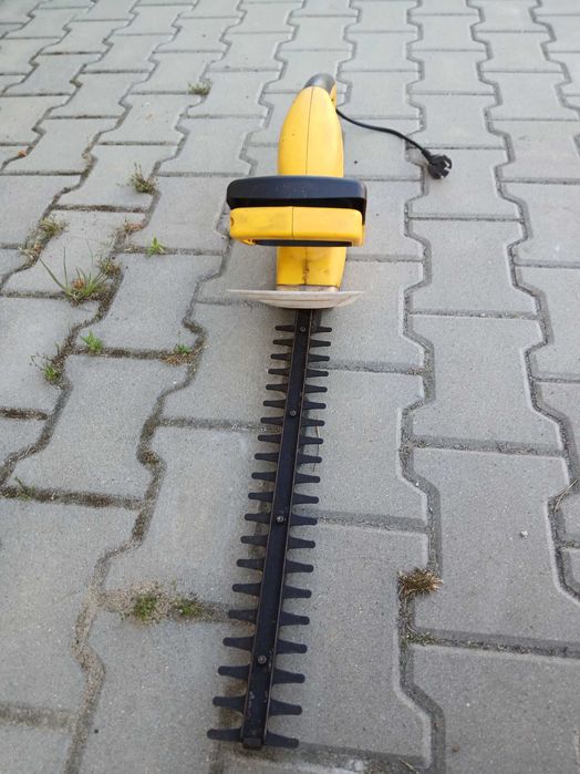 Pielęgnacja ogrodu