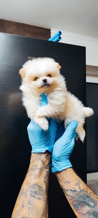 Класний милий гарний