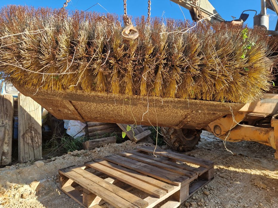 Bobcat, Case, or Komatsu Sweeper64564105611139124