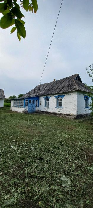 Будинок з ділянкою 60 соток