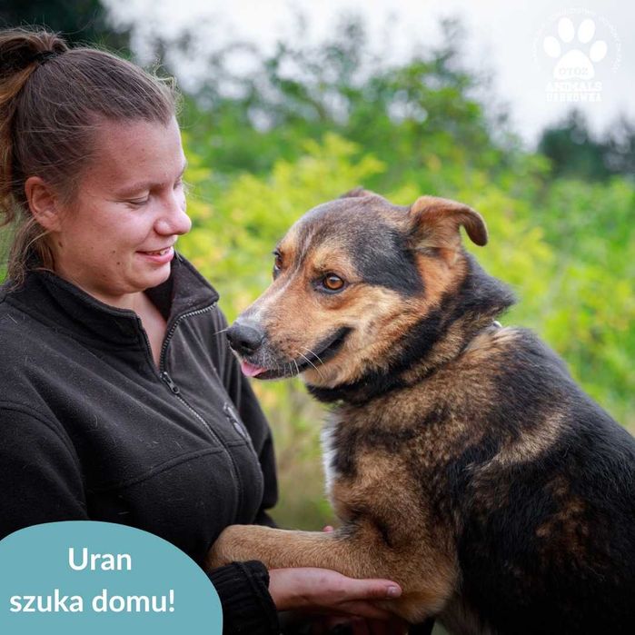 Uran szuka domu na stałe