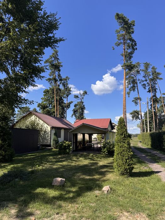 Продається на першій лінії Дніпра комплекс відпочинку в с.Сокирно