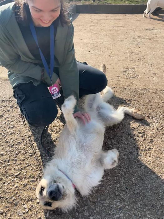 RAFI - 2 letni Super socjalny