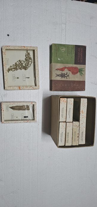 Коллекция учебная насекомые и вредители