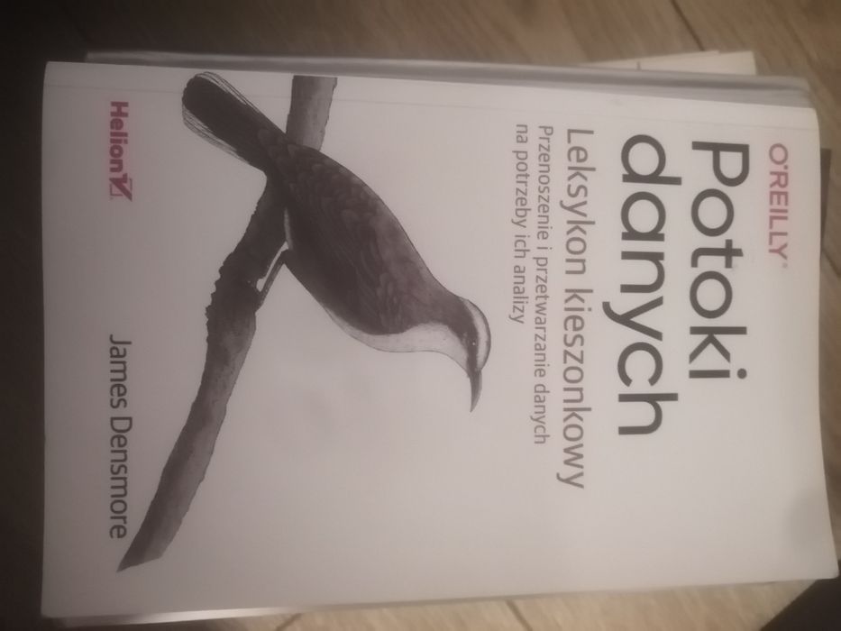 Potoki danych leksykon