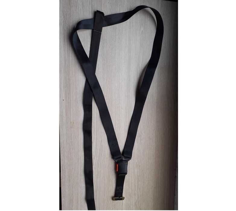 Cintos segurança para ovinho