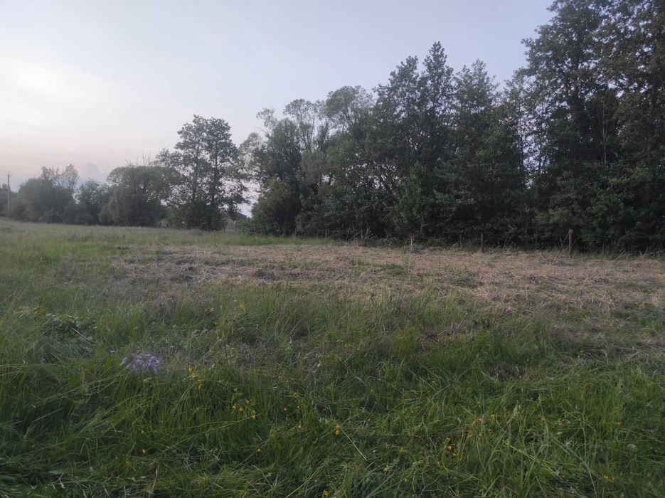 Земельна ділянка Житомирська область