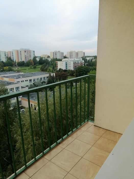 Zdjęcie 8