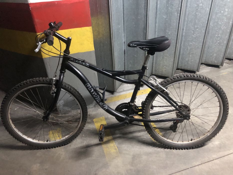 Bicicleta júnior