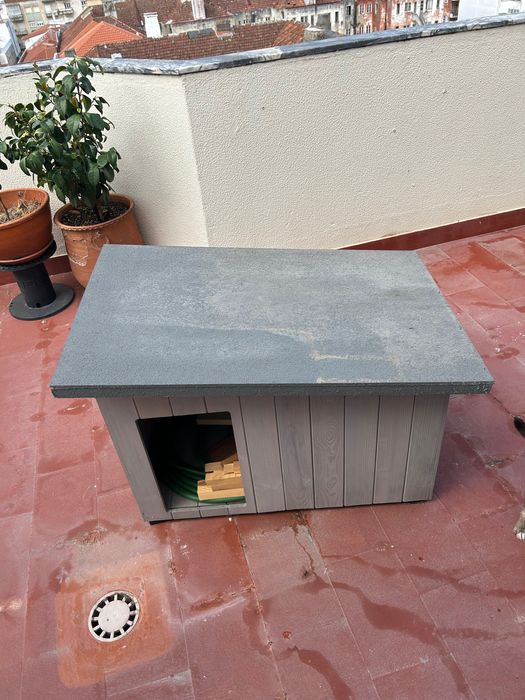 Casota Cão nova para Venda