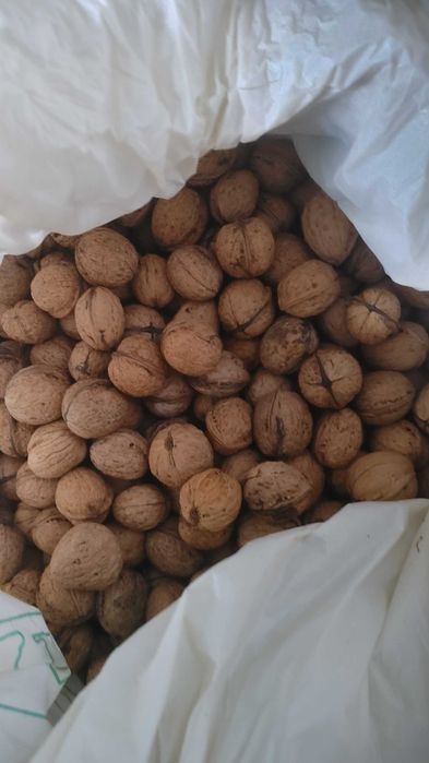 Горіхи к-ть за домовленістю