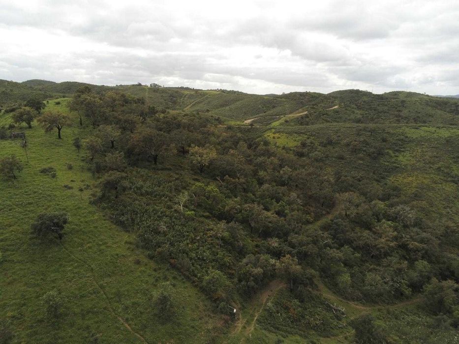 Monte Alentejano em Santana da Serra casa térrea com 78m2 prédio urbano e rústico de 8 hectares