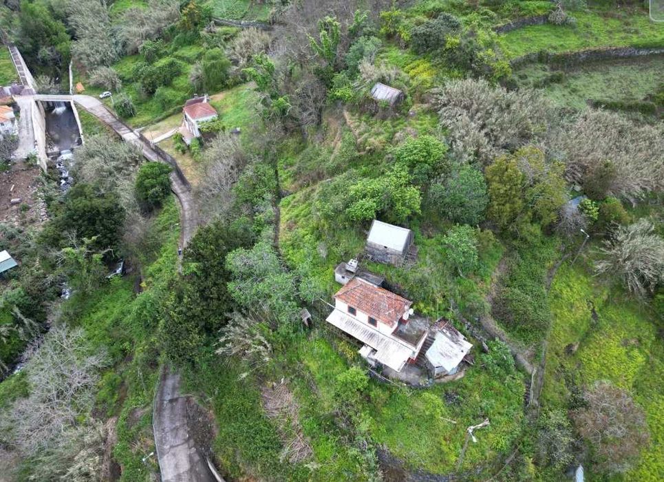 Terreno com casa de pedra - Tabua / Ribeira Brava