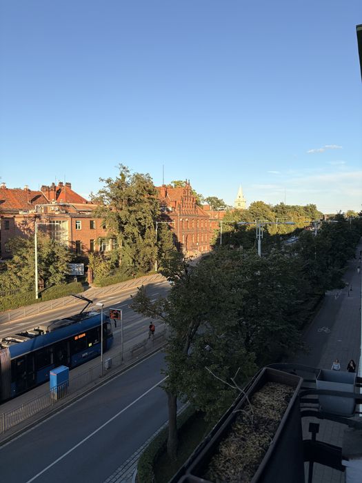 Zdjęcie 5