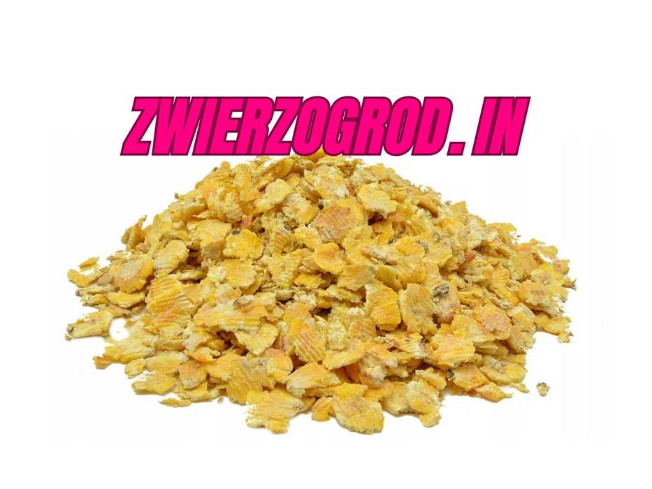 Płatki kukurydzy zanęta dla ryb , karma dla królików , papug 10 kg