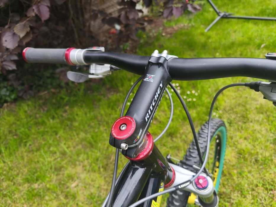 Rocky Mountain Instinct Vintage