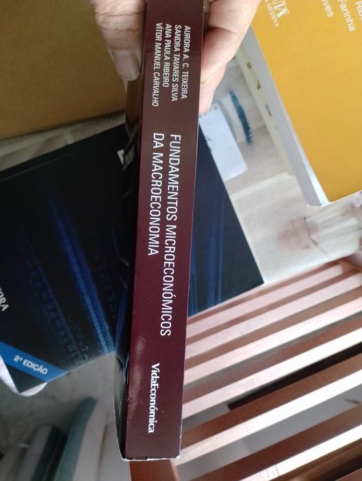 Livro fundamentos microeconomicos da macroeconomia