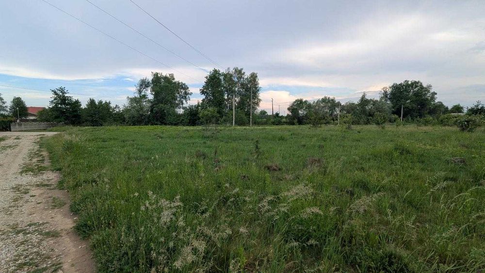 Продається ділянка 25 сот під будівництво в с. Скобичівка (12)