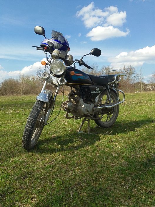 Продам альфу в гарному живому стані