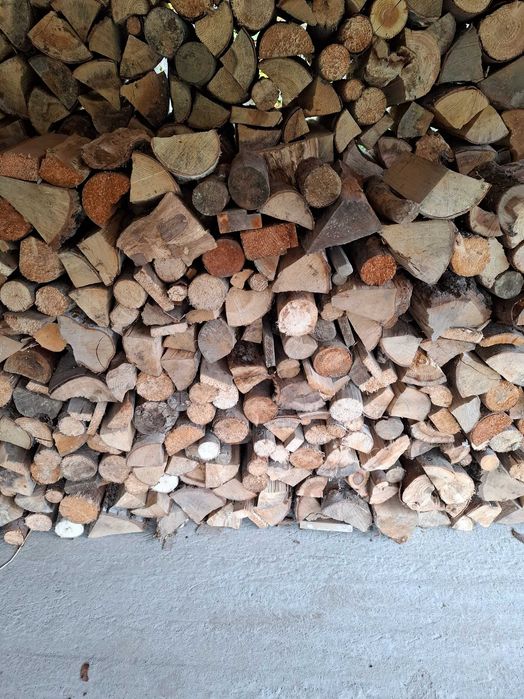 Drzewo-drewno opałowe suche