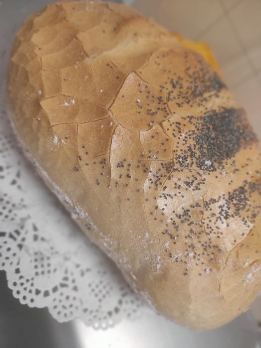 Chlebek pszenno zytni