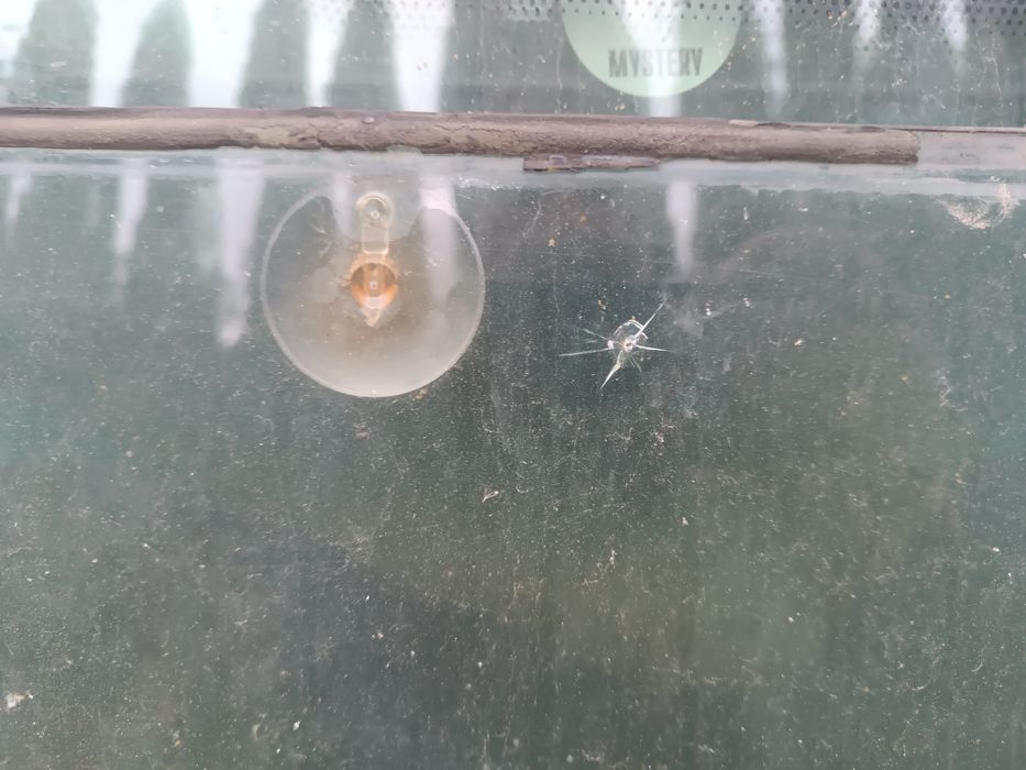 Лобове скло мерседес 123