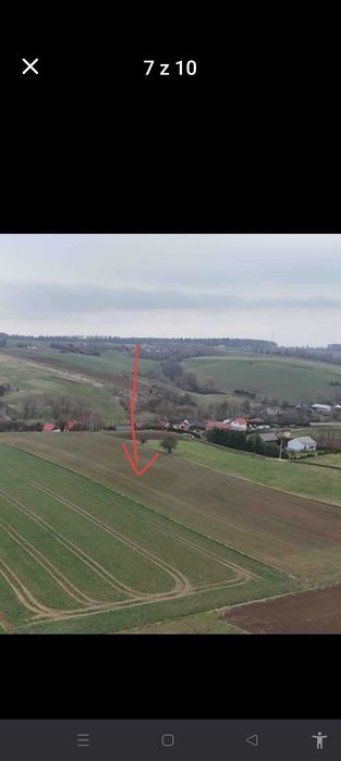Sprzedam działkę zagrodową Minoga