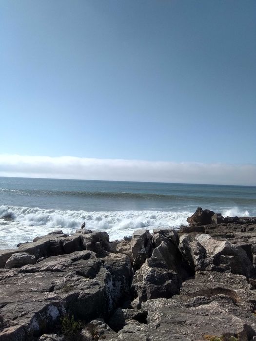 Dama de Companhia - Acompanhamento de Excelência para Idosos