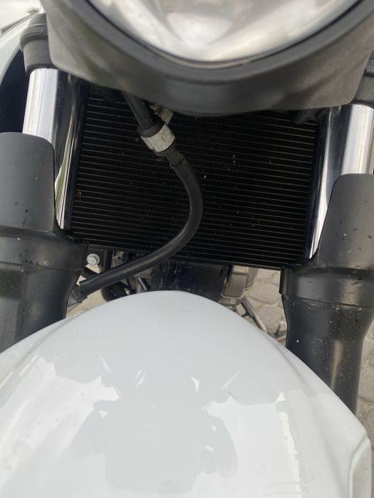 Suzuki gladius sfv650