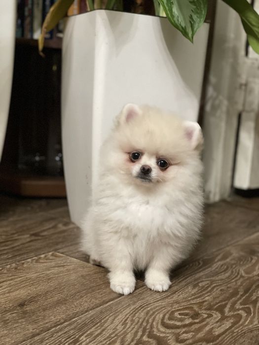 Маленький антидепрессант