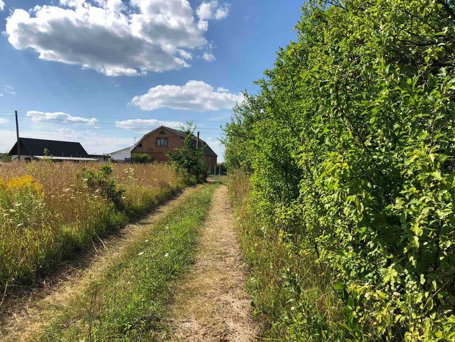 Продам ділянку с. Щітки (8387)