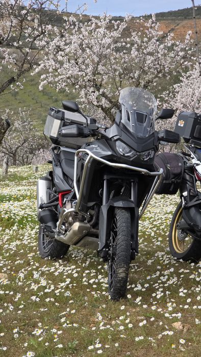 Africatwin 1100 2024