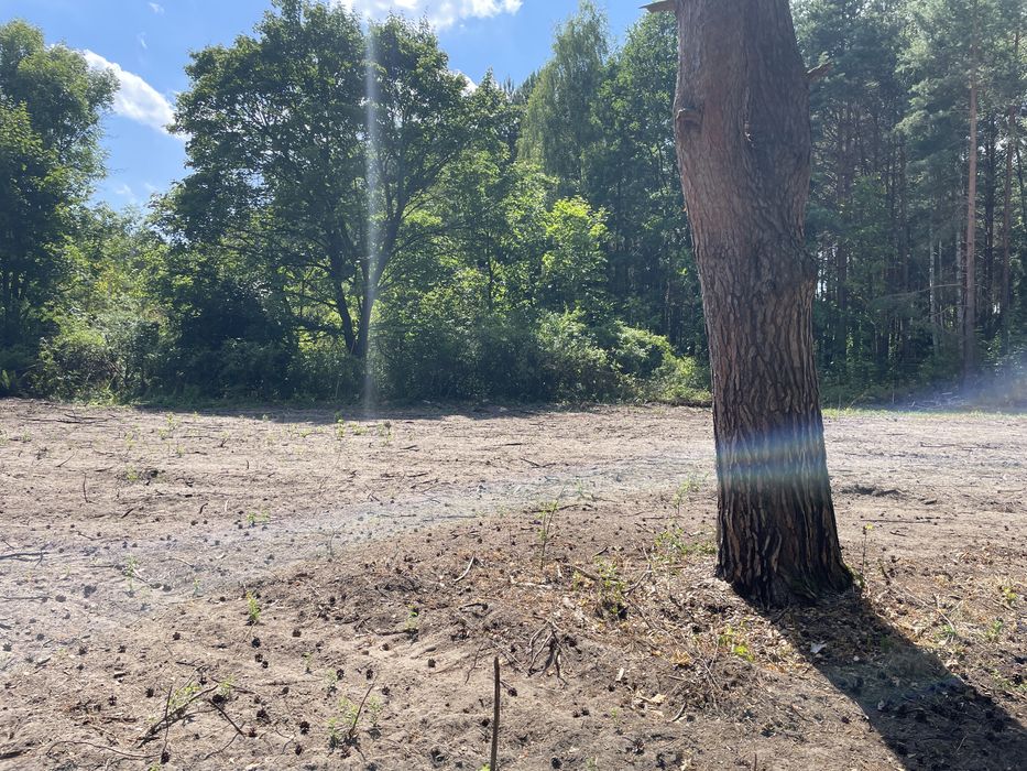 Działka budowlana 1786 m² | Ruda k. Tarczyna | MPZP | 25 min od Warszawy