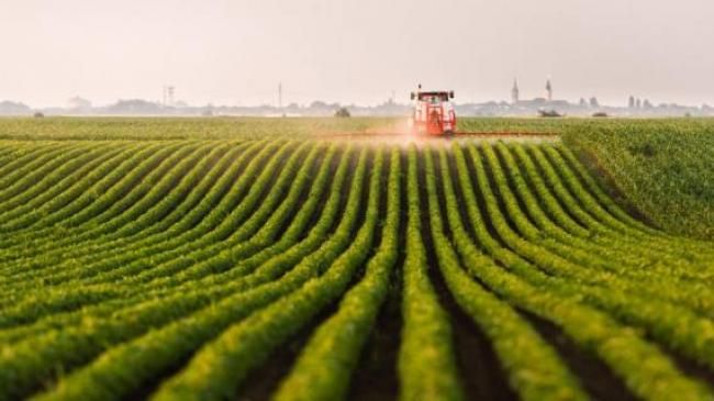 Продам фермерське господарство з ПДВ, ТОВ без ПДВ м.Миколаїв, м.Одеса