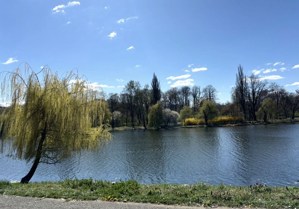 Bezposrednio.Без посередників. Здам кімнату.Біля озера та парку,
