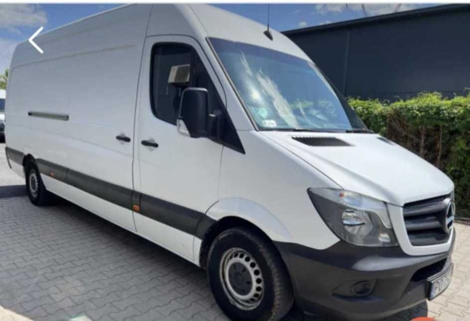 Usługi transportowe - Bus