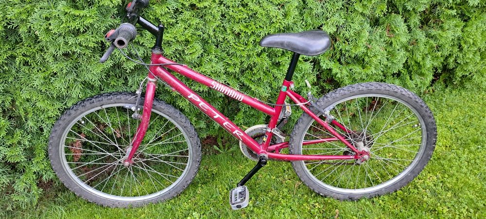Rower PETER koła 24" osprzęt Shimano sprawny Poznań Ławica