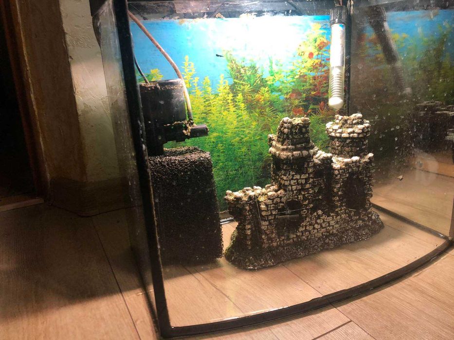 Акваріум  зі всім комплектом