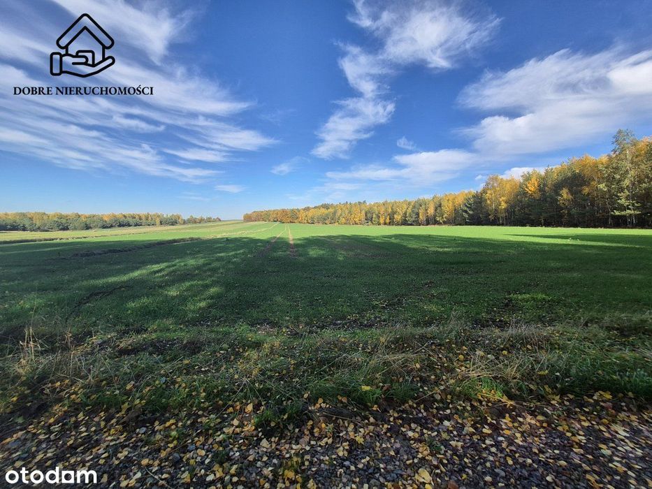 Działka budowlana - Polanówka - 1000m2