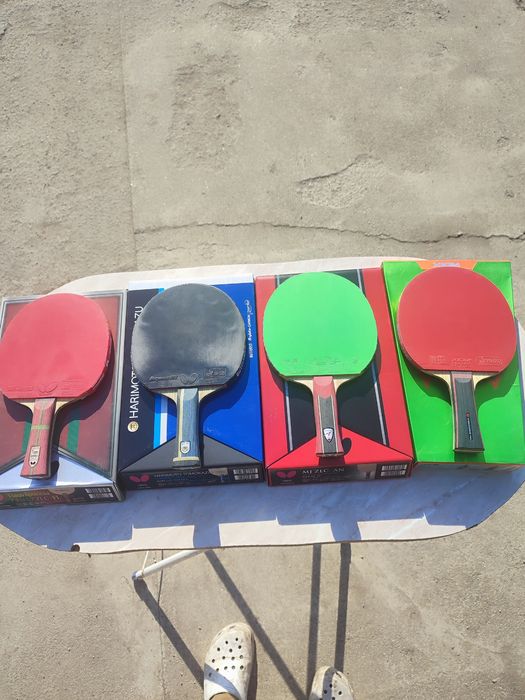 Butterfly-Timo-boll spirit-alc-zlc -Apolonia -Peter Korbel sk7