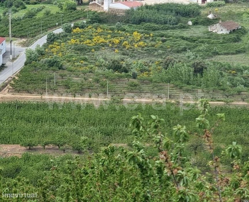 Quinta T1 / Fundão, Donas